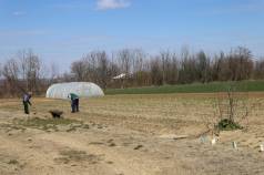 Mini IMG 5878